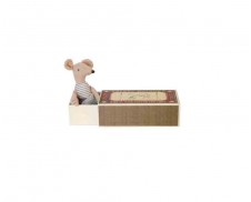 Ratoncito en su caja de cerillas